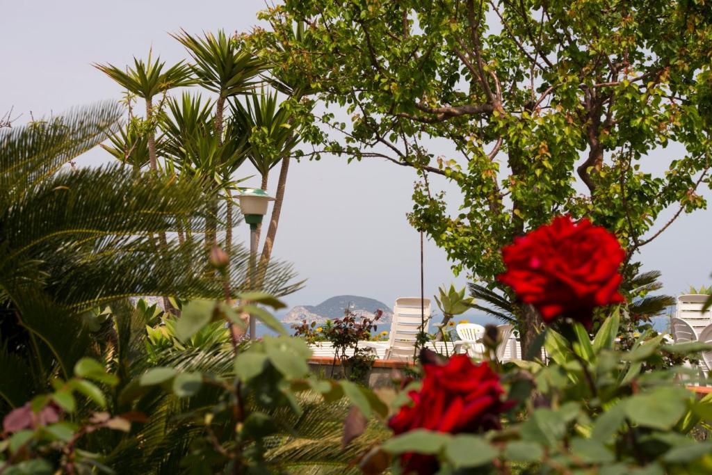 بونسا Villa Ersilia المظهر الخارجي الصورة